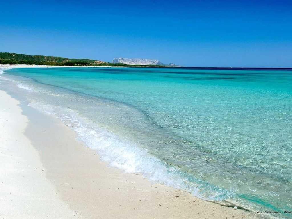 Hébergement de vacances Indipendente Al Mare Budoni *